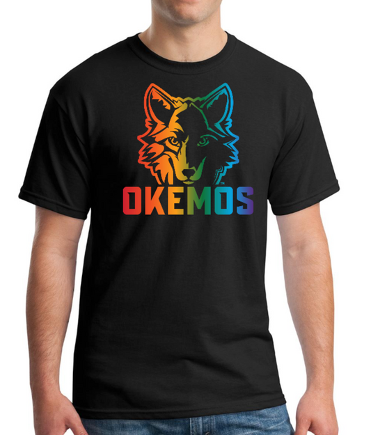 Okemos Rainbow t-shirt