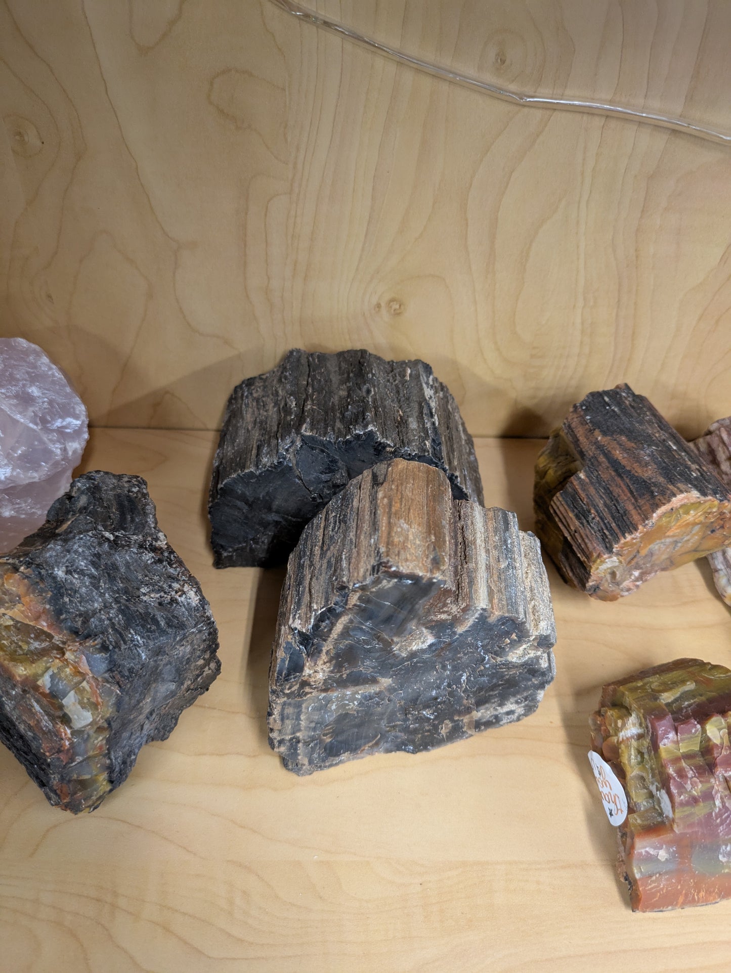 Petrified wood