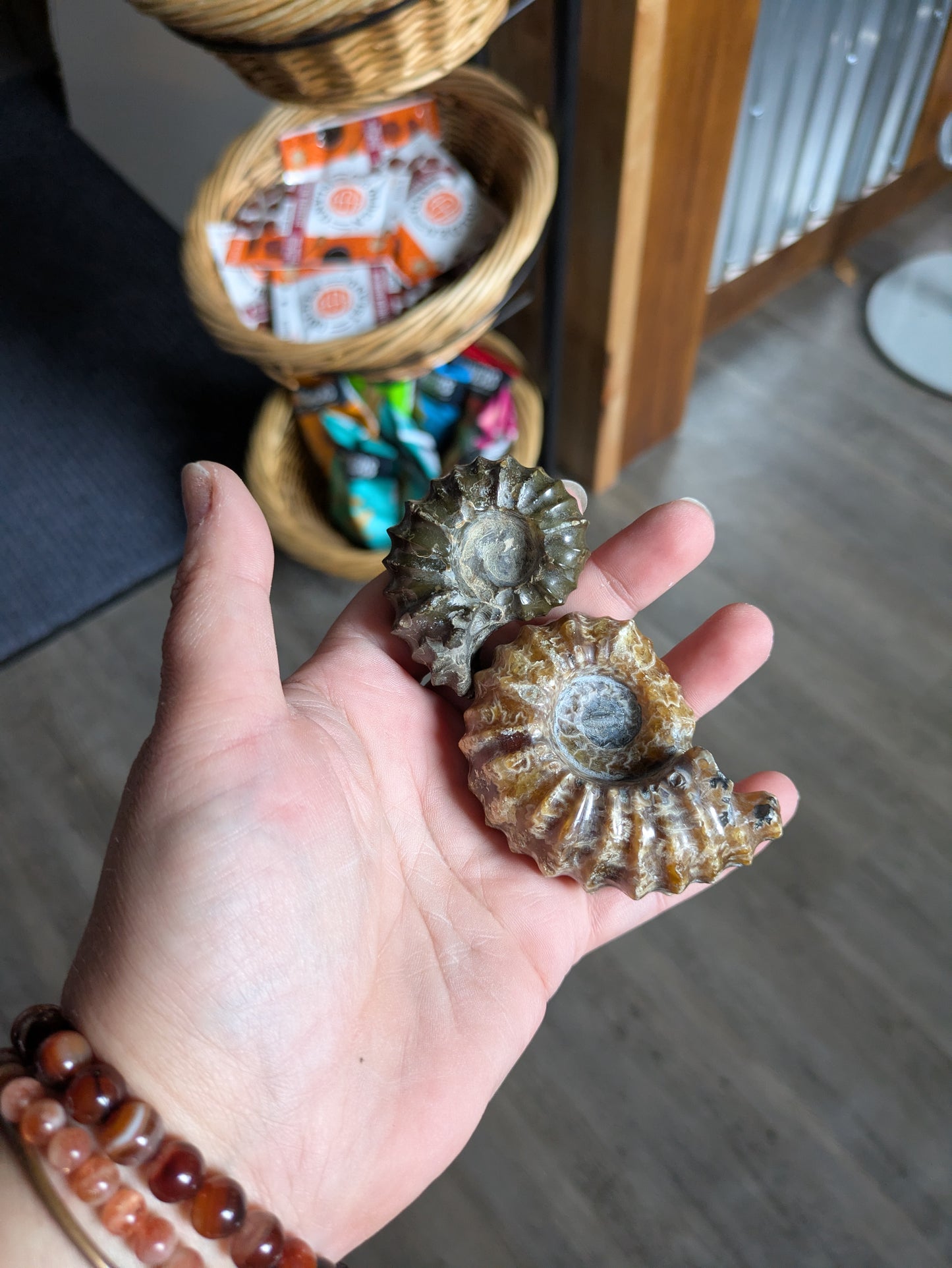 Ammonite